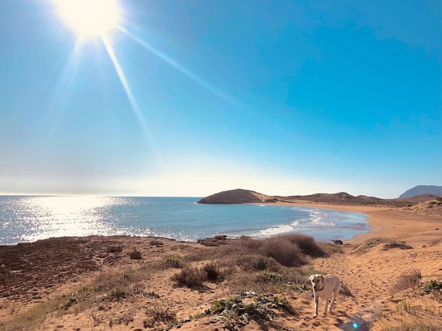 Moonas En Calblanque Holiday home *