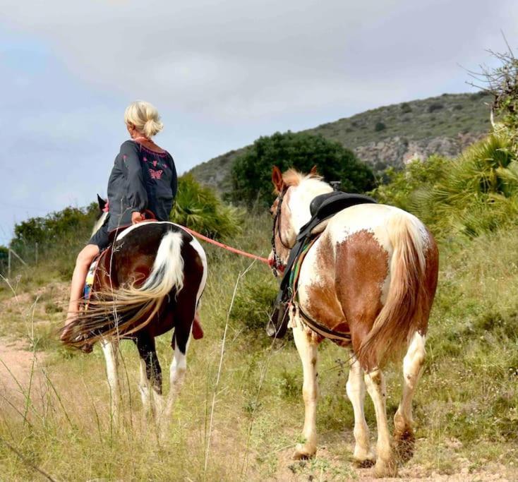 Moonas En Calblanque