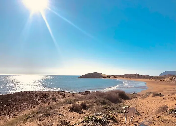 Las Moonas En Calblanque